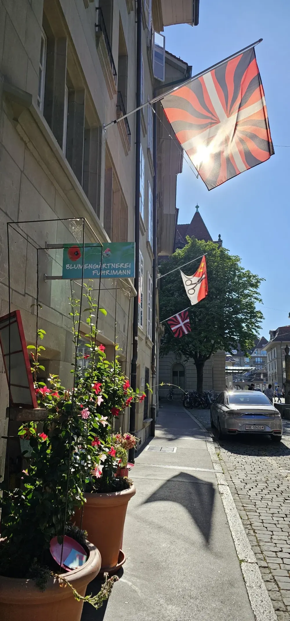 Blumengärtnerei Ellenberger & Fuhrimann