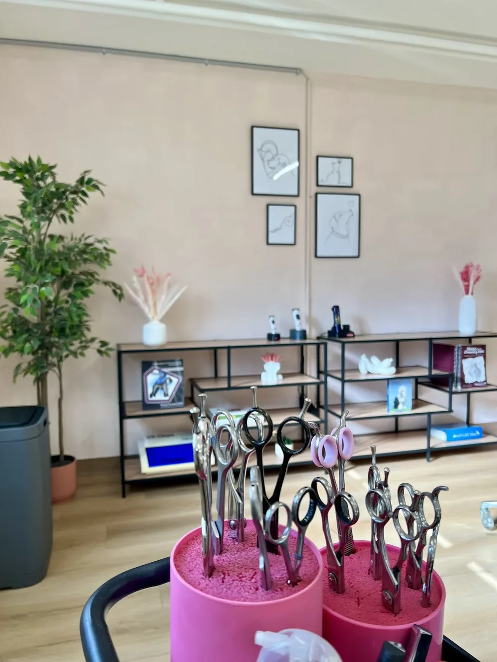 Hundesalon Mona
