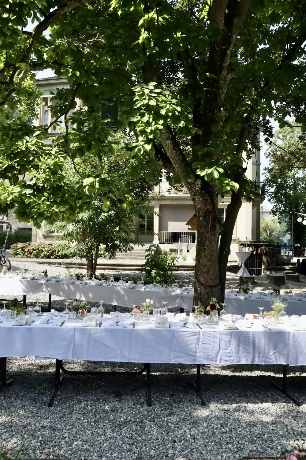 Jardin et Cave