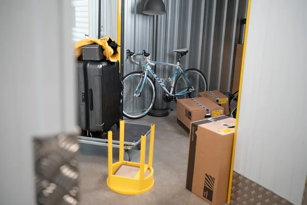 Zebrabox Bern